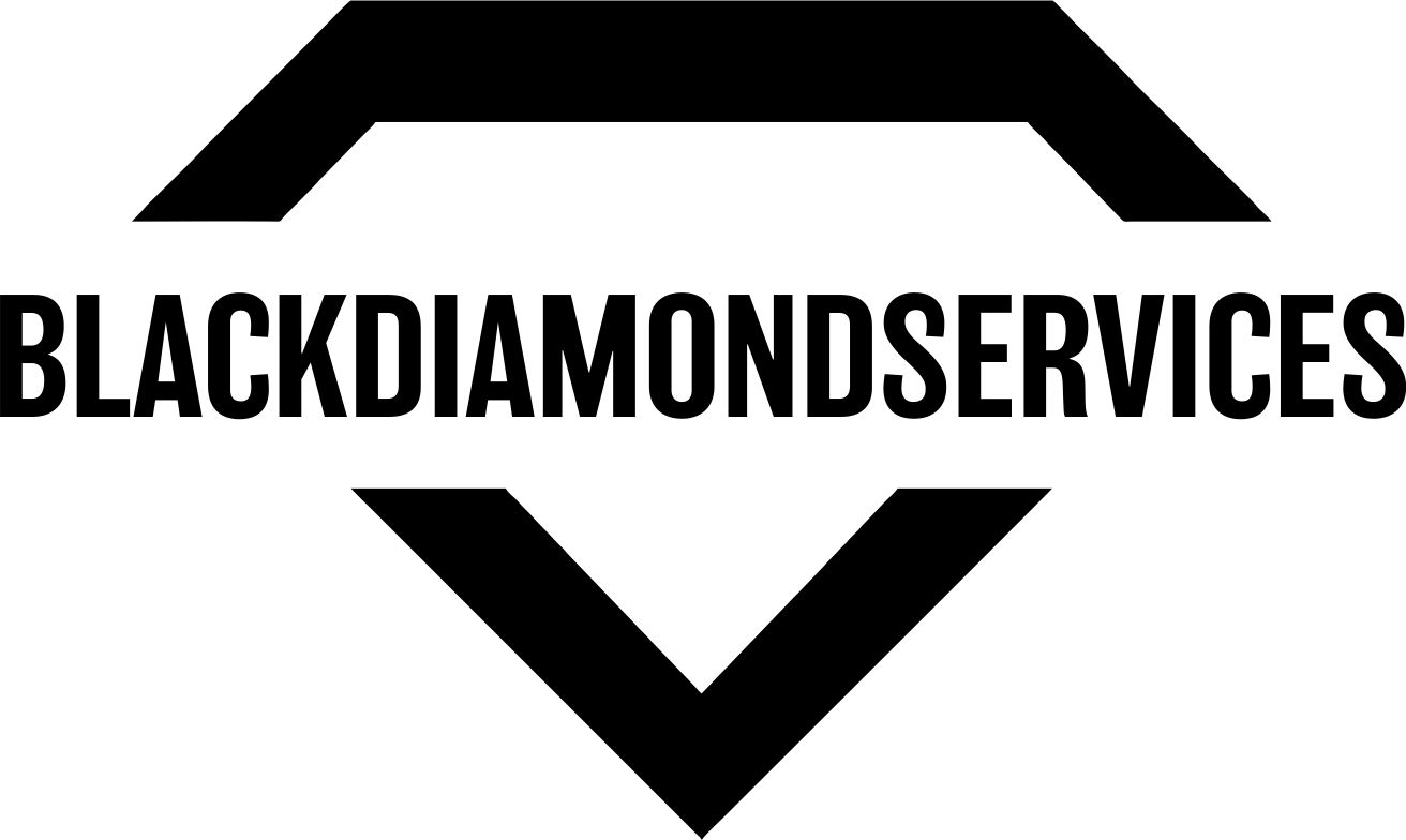 BD Servicies Logo